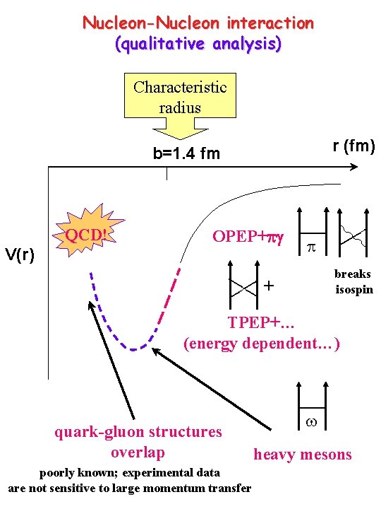 Nucleon-Nucleon interaction (qualitative analysis) Characteristic radius r (fm) b=1. 4 fm QCD! V(r) OPEP+pg