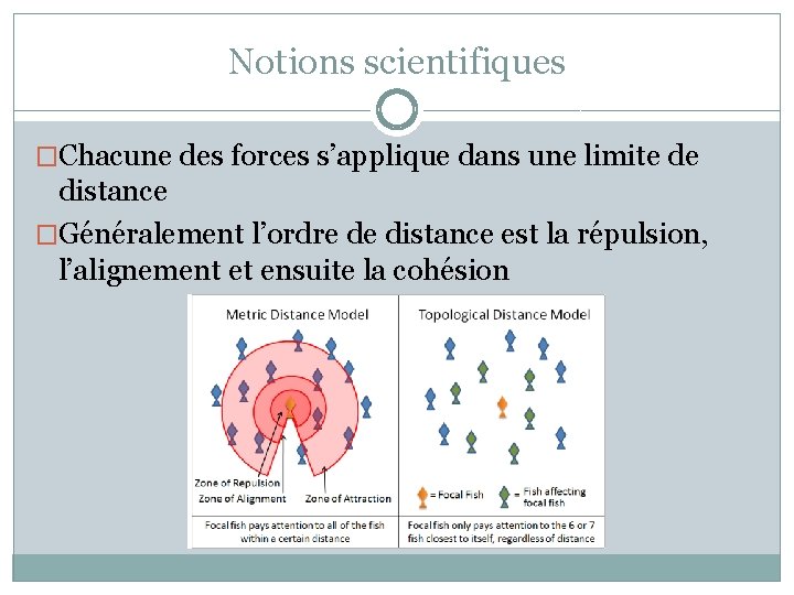 Notions scientifiques �Chacune des forces s’applique dans une limite de distance �Généralement l’ordre de