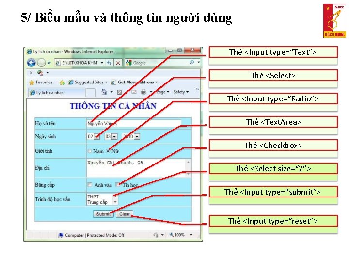 5/ Biểu mẫu và thông tin người dùng Thẻ <Input type=“Text”> Thẻ <Select> Thẻ