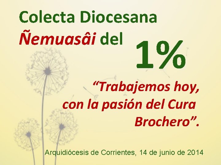 Colecta Diocesana Ñemuasâi del 1% “Trabajemos hoy, con la pasión del Cura Brochero”. Arquidiócesis