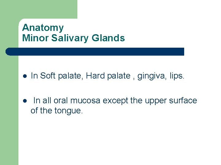 Anatomy Minor Salivary Glands l In Soft palate, Hard palate , gingiva, lips. l