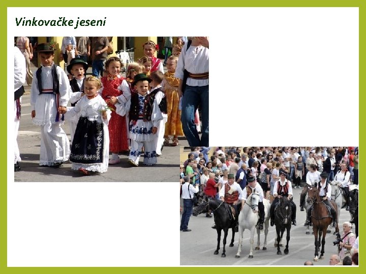 Vinkovačke jeseni 