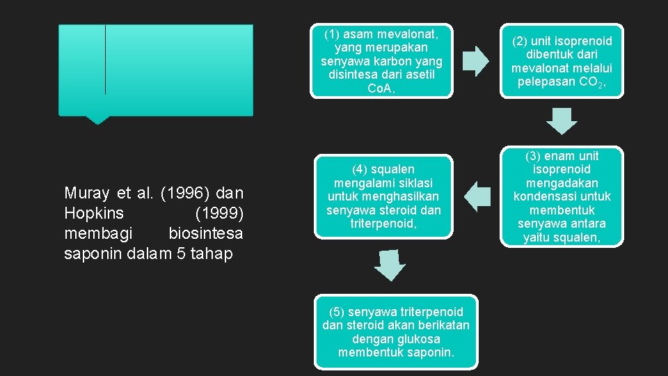 Muray et al. (1996) dan Hopkins (1999) membagi biosintesa saponin dalam 5 tahap (1)