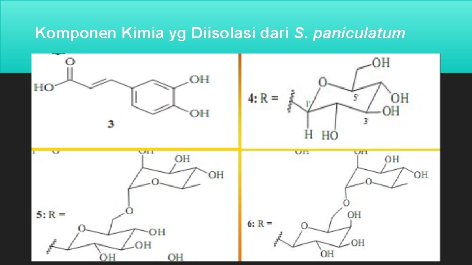 Komponen Kimia yg Diisolasi dari S. paniculatum 