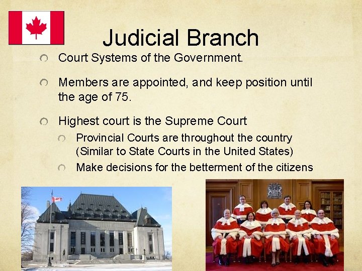 Judicial Branch Court Systems of the Government. Members are appointed, and keep position until