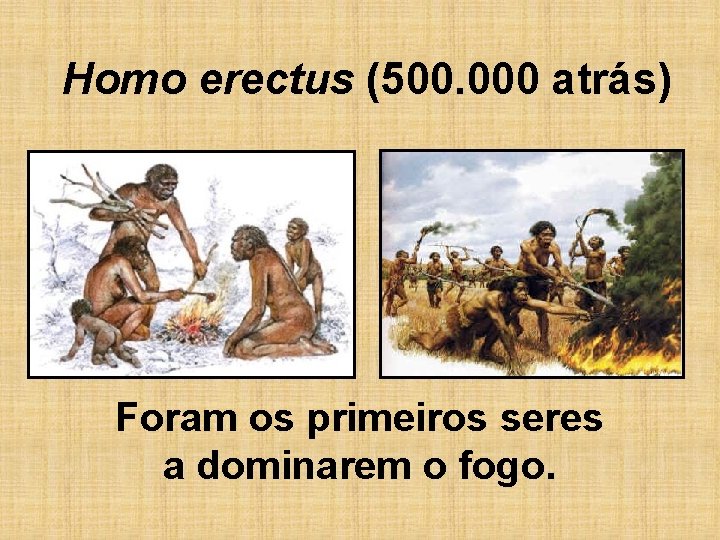 Homo erectus (500. 000 atrás) Foram os primeiros seres a dominarem o fogo. 