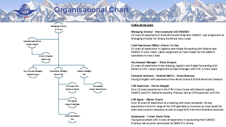 Organisational Chart Profile of the team Managing Director BF & IVO Managing Director -