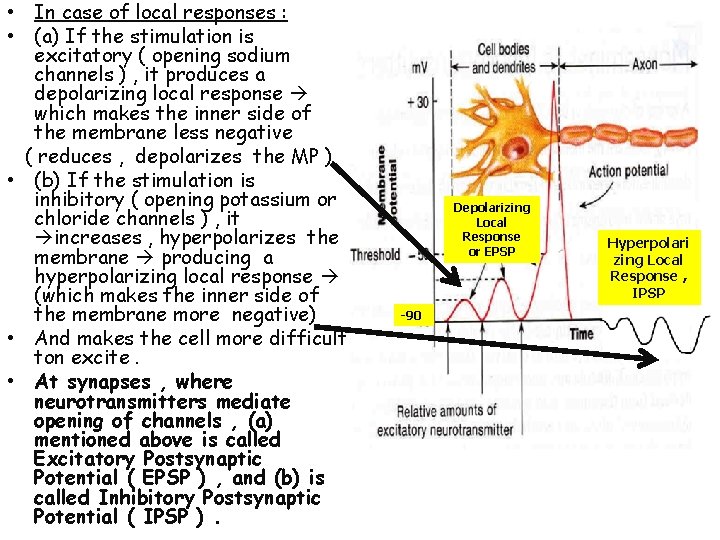Action Potential and Properties of Nerves 1 1312022