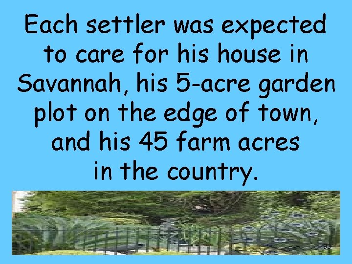 Each settler was expected to care for his house in Savannah, his 5 -acre