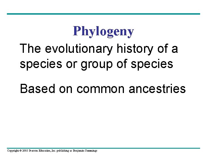 Phylogeny The evolutionary history of a species or group of species Based on common