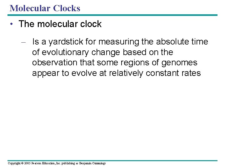 Molecular Clocks • The molecular clock – Is a yardstick for measuring the absolute