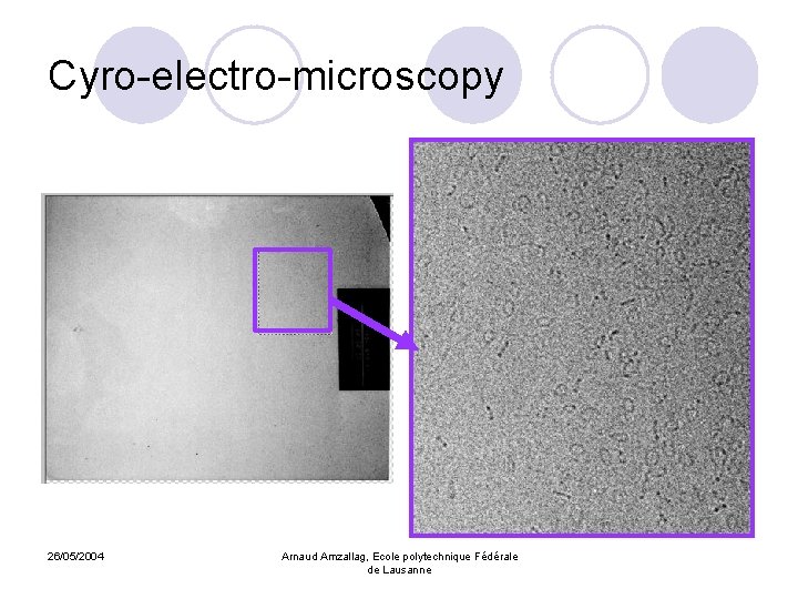 Cyro-electro-microscopy 26/05/2004 Arnaud Amzallag, Ecole polytechnique Fédérale de Lausanne 