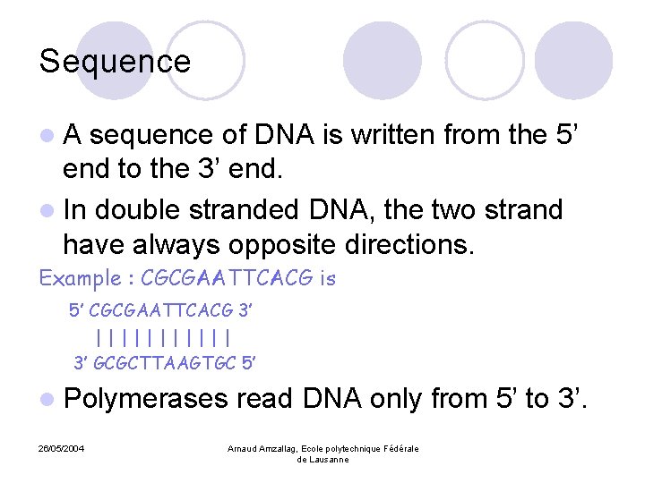 Sequence l. A sequence of DNA is written from the 5’ end to the