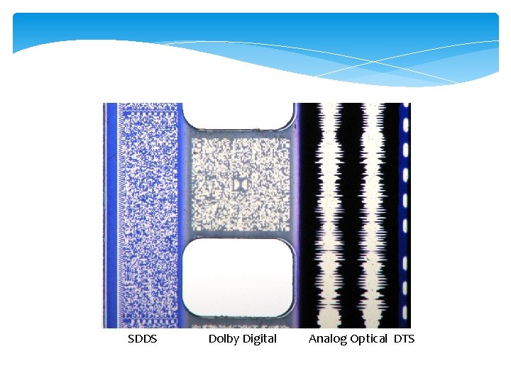 SDDS Dolby Digital Analog Optical DTS 