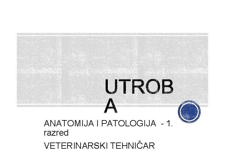ANATOMIJA I PATOLOGIJA - 1. razred VETERINARSKI TEHNIČAR 