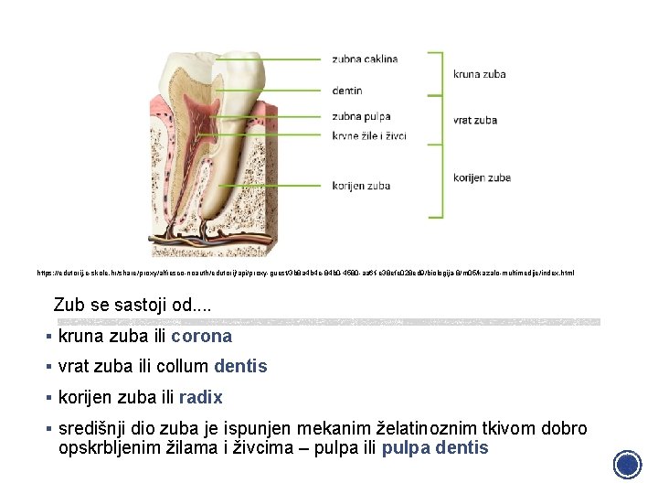 https: //edutorij. e-skole. hr/share/proxy/alfresco-noauth/edutorij/api/proxy-guest/3 b 8 a 4 b 4 e-84 b 0 -4580