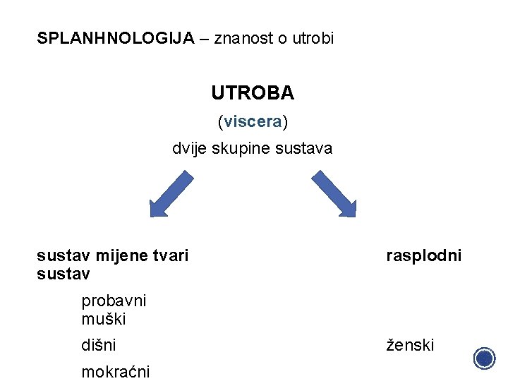 SPLANHNOLOGIJA – znanost o utrobi UTROBA (viscera) dvije skupine sustava sustav mijene tvari sustav