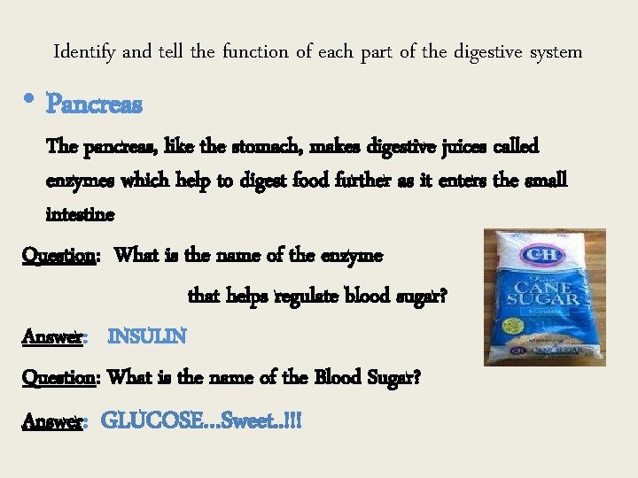 Identify and tell the function of each part of the digestive system • Pancreas