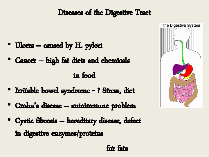 Diseases of the Digestive Tract • Ulcers – caused by H. pylori • Cancer