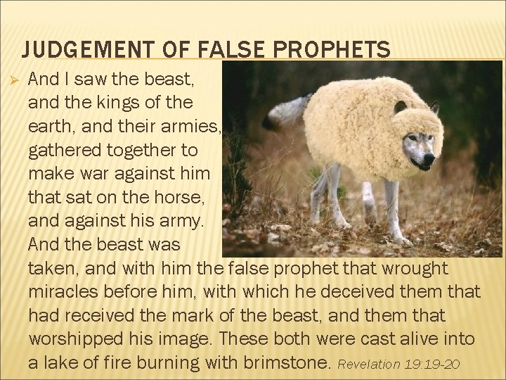 JUDGEMENT OF FALSE PROPHETS Ø And I saw the beast, and the kings of