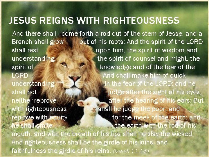 JESUS REIGNS WITH RIGHTEOUSNESS And there shall come forth a rod out of the