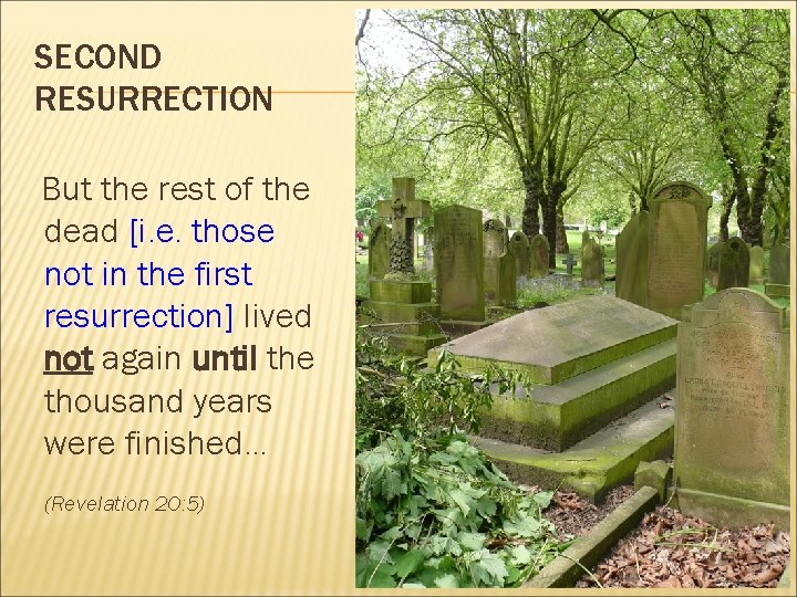 SECOND RESURRECTION But the rest of the dead [i. e. those not in the
