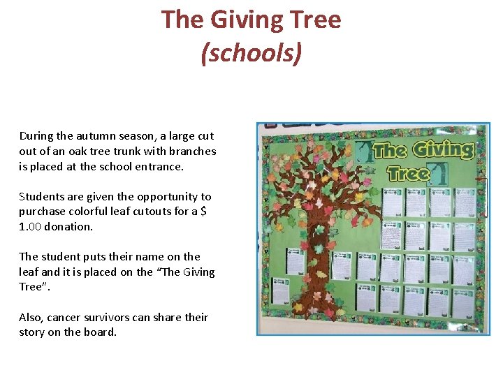 The Giving Tree (schools) During the autumn season, a large cut of an oak