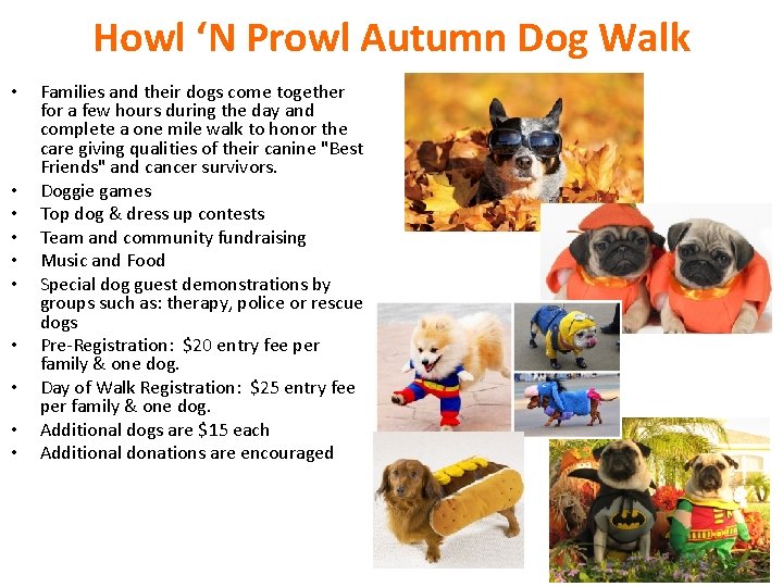 Howl ‘N Prowl Autumn Dog Walk • • • Families and their dogs come