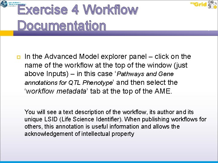 Exercise 4 Workflow Documentation In the Advanced Model explorer panel – click on the