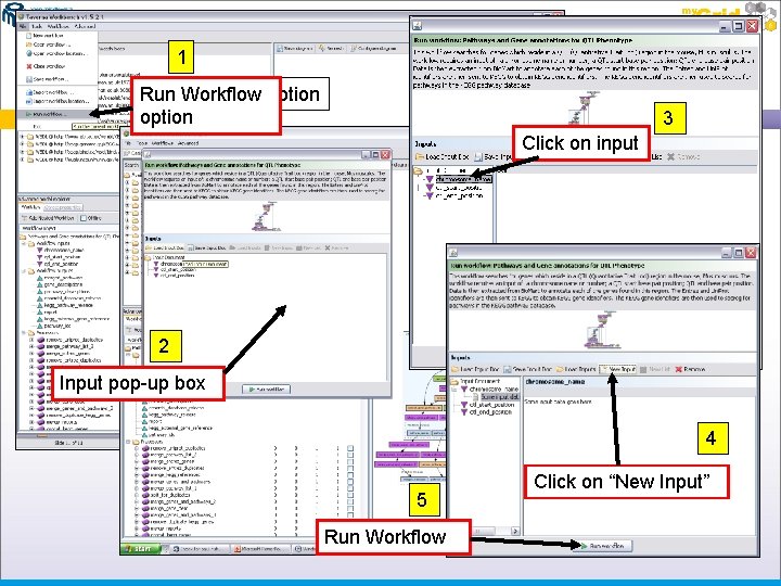 1 Run Workflow option 3 Click on input 2 Input pop-up box 4 5