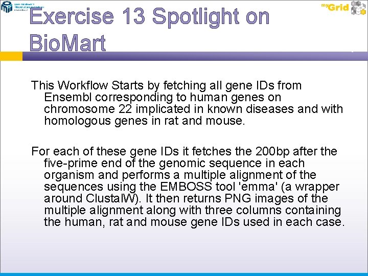 Exercise 13 Spotlight on Bio. Mart This Workflow Starts by fetching all gene IDs