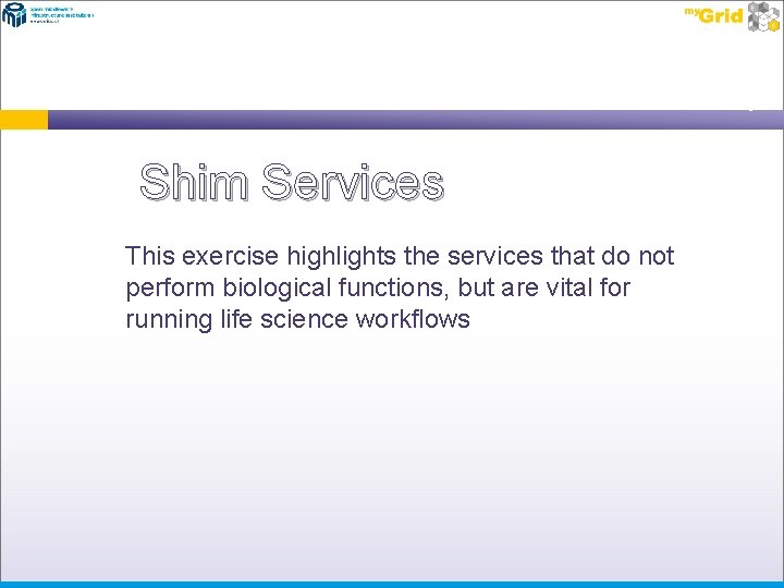 Shim Services This exercise highlights the services that do not perform biological functions, but
