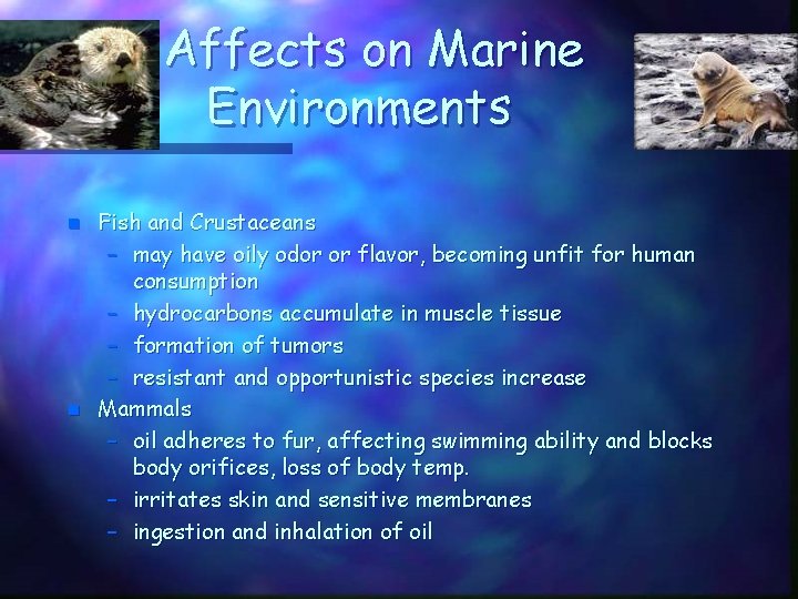 Affects on Marine Environments n n Fish and Crustaceans – may have oily odor