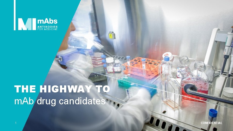 THE HIGHWAY TO m. Ab drug candidates 1 CONFIDENTIAL 