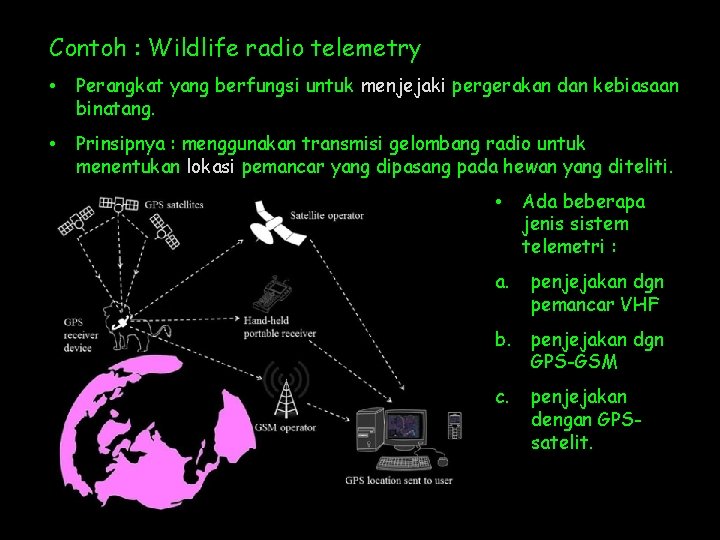 Contoh : Wildlife radio telemetry • Perangkat yang berfungsi untuk menjejaki pergerakan dan kebiasaan