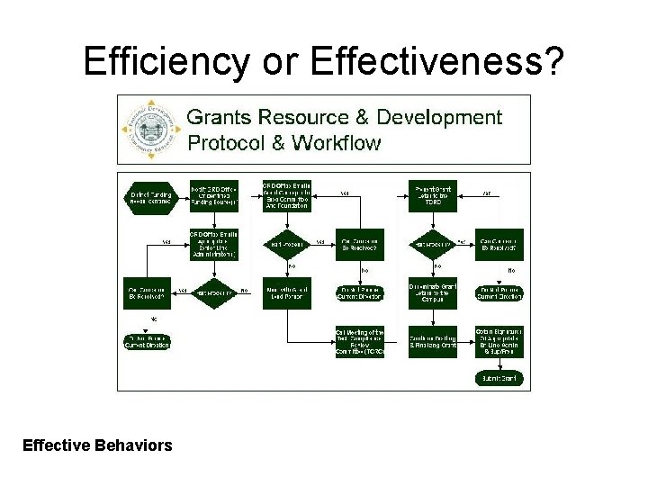 Efficiency or Effectiveness? Effective Behaviors 
