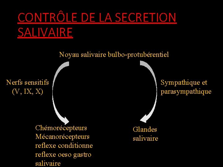 CONTRÔLE DE LA SECRETION SALIVAIRE Noyau salivaire bulbo-protubérentiel Nerfs sensitifs (V, IX, X) Chémorécepteurs