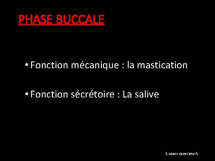 PHASE BUCCALE • Fonction mécanique : la mastication • Fonction sécrétoire : La salive