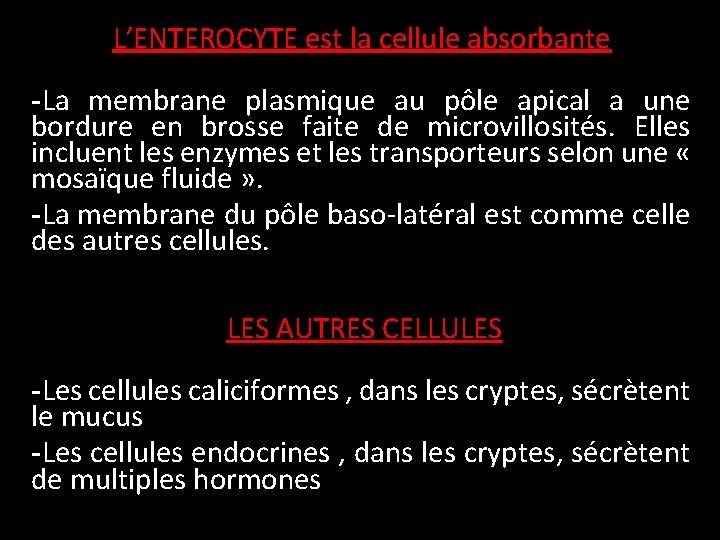 L’ENTEROCYTE est la cellule absorbante -La membrane plasmique au pôle apical a une bordure