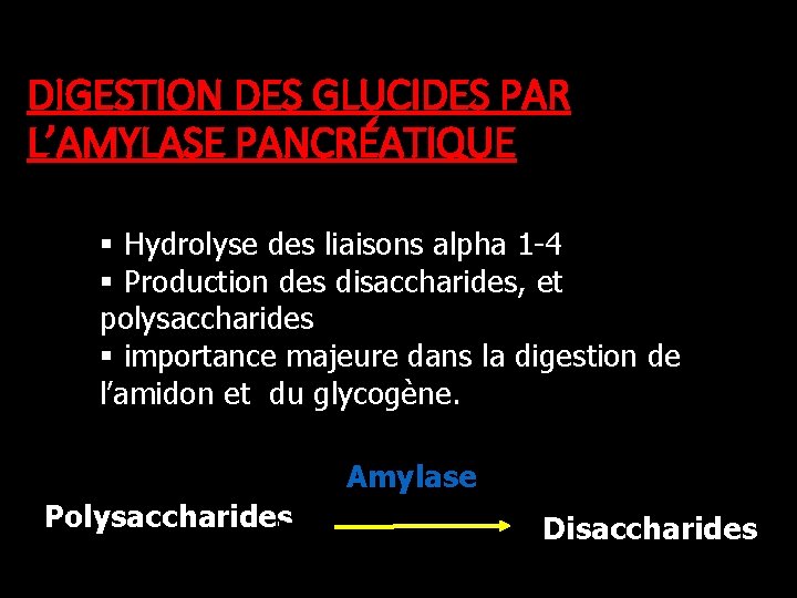 DIGESTION DES GLUCIDES PAR L’AMYLASE PANCRÉATIQUE § Hydrolyse des liaisons alpha 1 -4 §