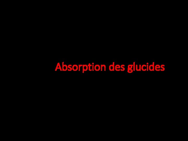 Absorption des glucides 