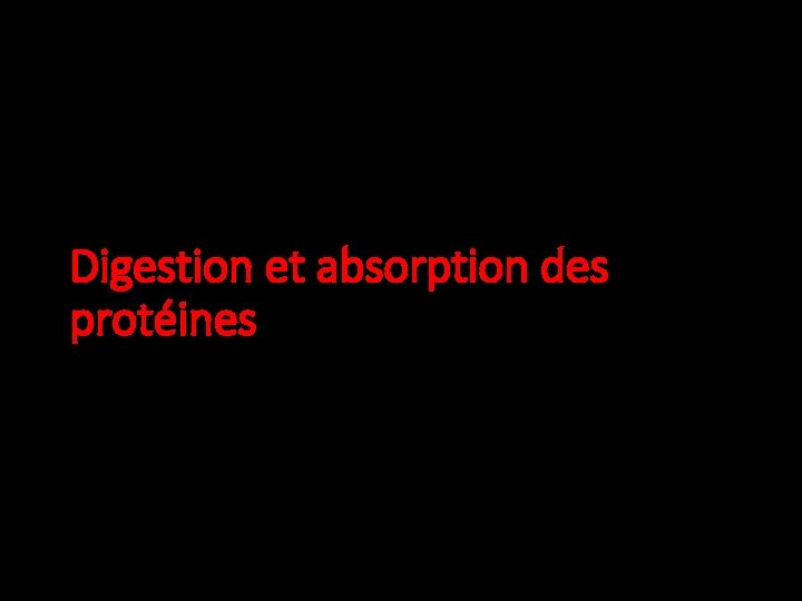 Digestion et absorption des protéines 