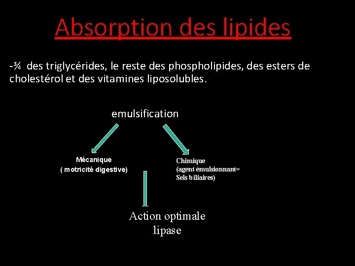 Absorption des lipides -¾ des triglycérides, le reste des phospholipides, des esters de cholestérol