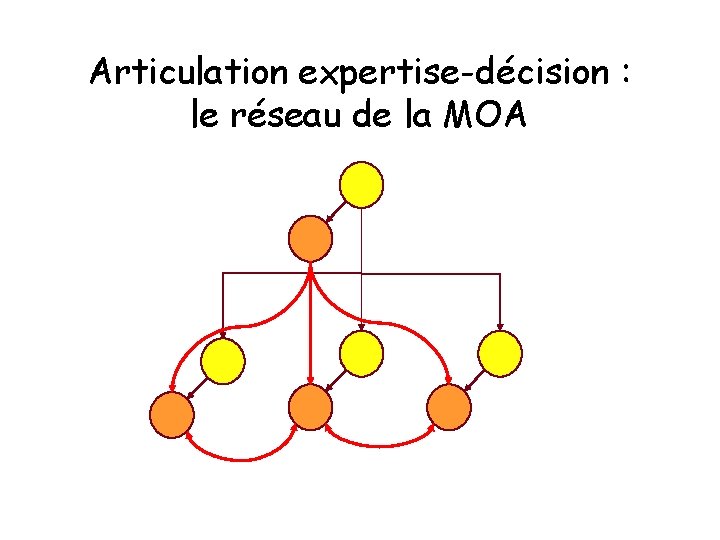 Articulation expertise-décision : le réseau de la MOA 