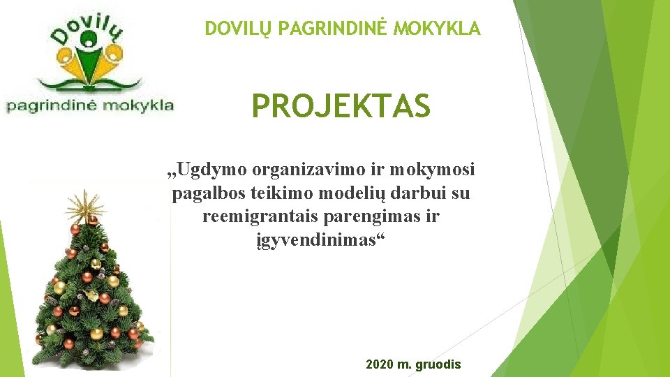 DOVILŲ PAGRINDINĖ MOKYKLA PROJEKTAS , , Ugdymo organizavimo ir mokymosi pagalbos teikimo modelių darbui