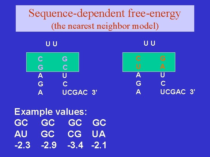 Sequence-dependent free-energy (the nearest neighbor model) UU UU C G A G C UCGAC