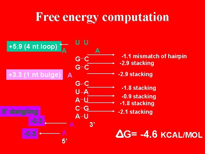 Free energy computation +5. 9 (4 nt loop) U U A G C +3.