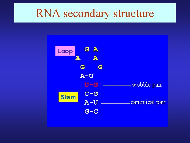 RNA secondary structure G A A A G G A-U U-G C-G Stem A-U