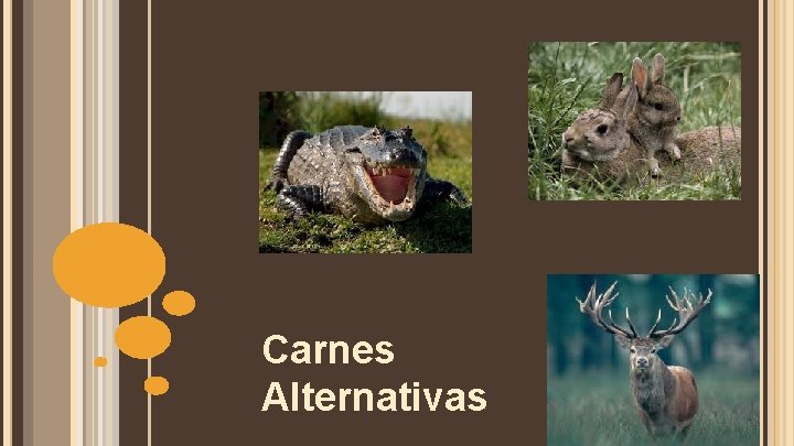 Carnes Alternativas 