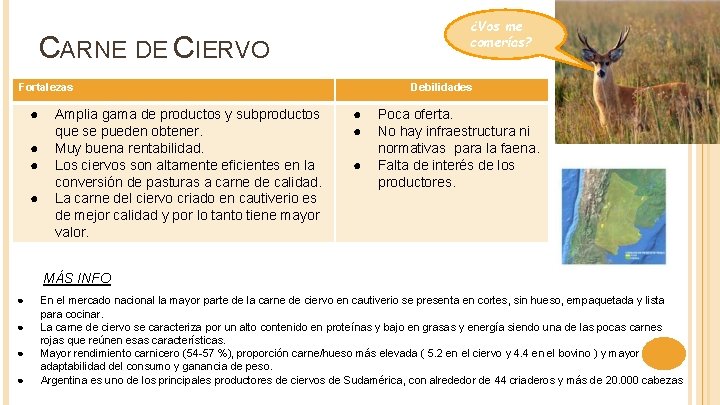 ¿Vos me comerías? CARNE DE CIERVO Fortalezas ● ● Amplia gama de productos y